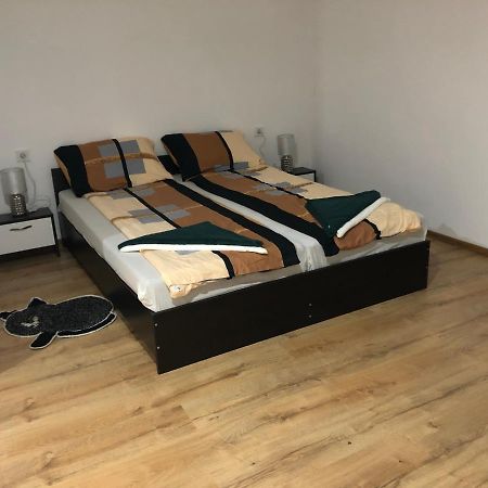 Pensiunea Petra Dumi Aninoasa Esterno foto